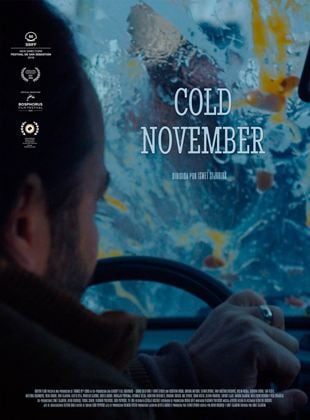  Cold November