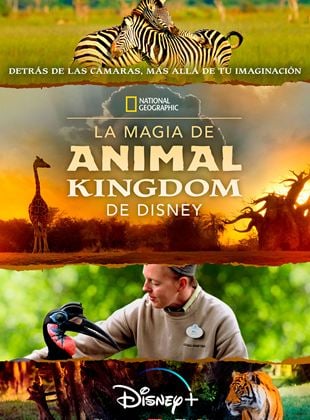 La magia de Animal Kingdom de Disney