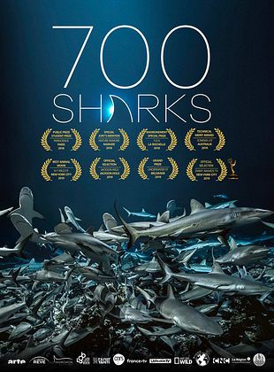 Cartel de 700 tiburones