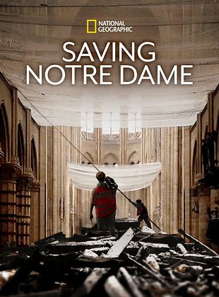 Cartel de Salvar Notre Dame