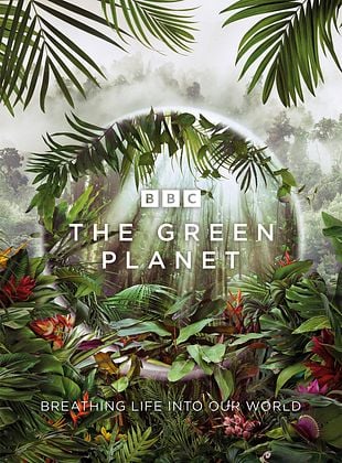 Cartel de Planeta verde