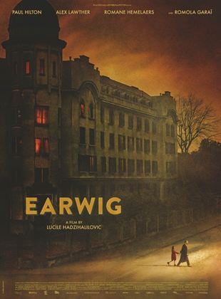 Earwig