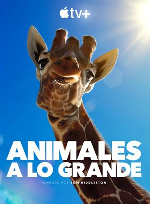 Animales a lo grande