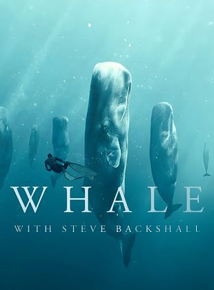 Cartel de Ballenas con Steve Backshall