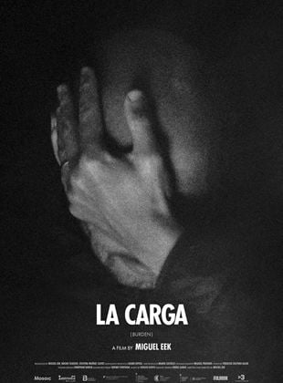 La carga