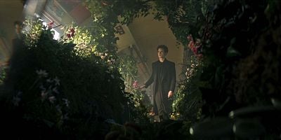 Cartel de The Song of Orpheus