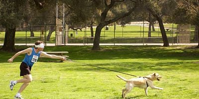 Cartel de Victor's Other Family