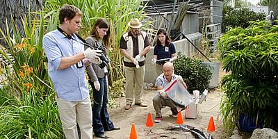Cartel de Un caballo de un color diferente