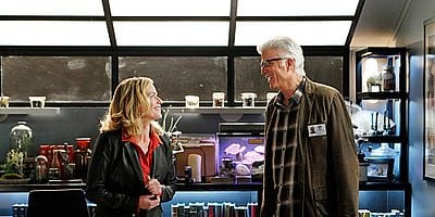 Cartel de Robando un hogar