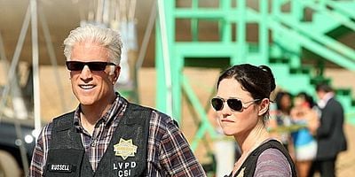 Cartel de Flores salvajes