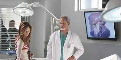 Cartel de Anatomía en bruto