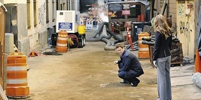 Cartel de Veloz y peludo