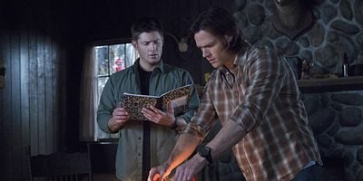 Cartel de Survival of the fittest