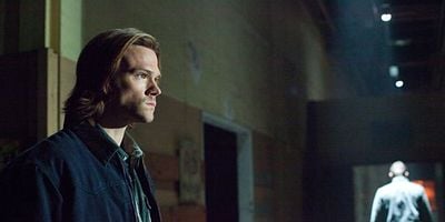 Cartel de Torn and Frayed