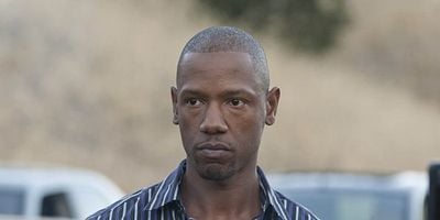 Cartel de Ser (1ª parte)