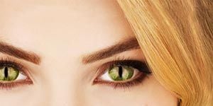 Cartel de All Apologies