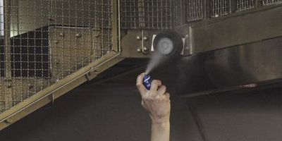 Cartel de The Three Bears