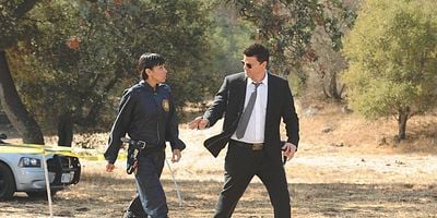 Cartel de The Spark in the Park