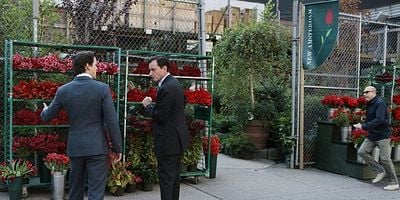 Cartel de No Good Deed