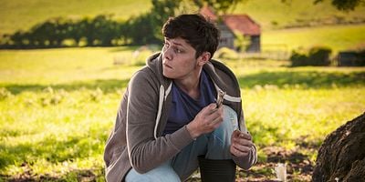 Cartel de Wild Harvest