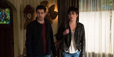 Cartel de My Fair Wesen