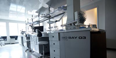 Cartel de Rules of the Game