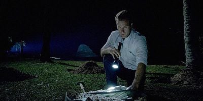 Cartel de Kanalu Hope Loa