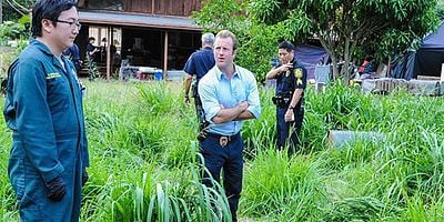 Cartel de Poina 'ole