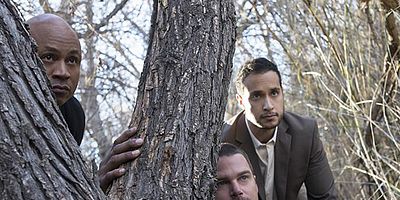 Cartel de Forest for the Trees