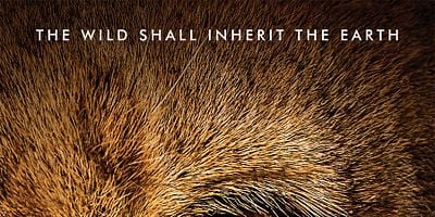 Cartel de Welcome to Terra Dome