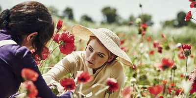 Cartel de Snake Creeps Down