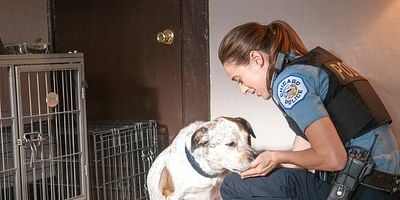 Cartel de Debts of the Past