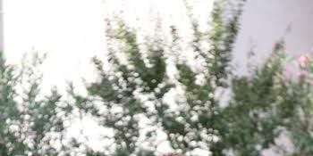 Cartel de Aşk Yeniden 25.Bölüm