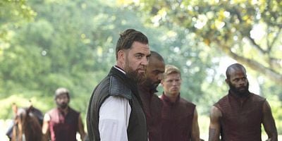 Cartel de White Stork Spreads Wings