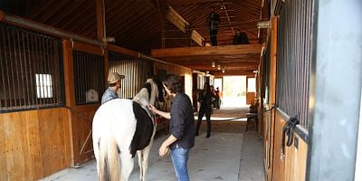 Cartel de Three's a Crowd