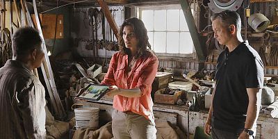 Cartel de The Harmful One