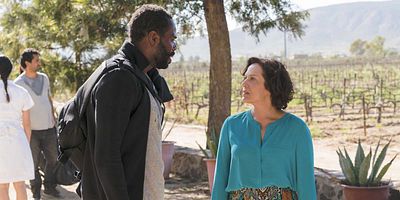 Cartel de Sicut Cervus