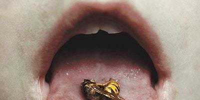 Cartel de Modern Love