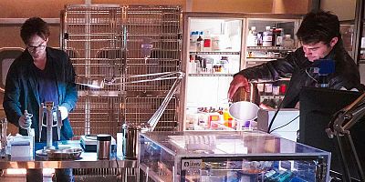 Cartel de Collision Point