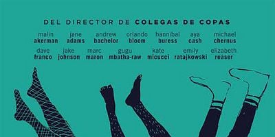 Cartel de The F**King Study