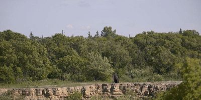 Cartel de I'll Hold Your Hand