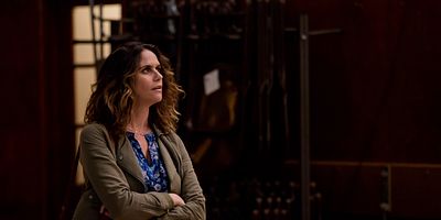 Cartel de Just the Facts