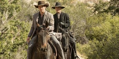 Cartel de Desvanecimiento de la huella