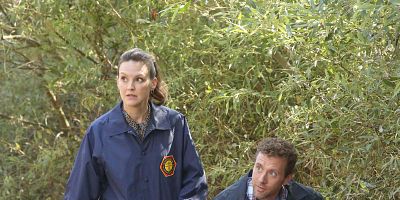 Cartel de The Brain in the Bot