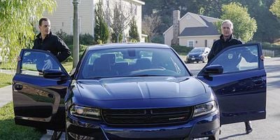 Cartel de Off the Grid