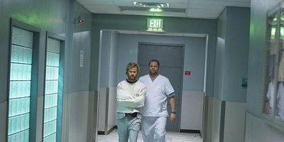 Cartel de Shadow Hawk Takes Flight