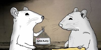 Cartel de Pigeons (2)