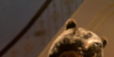 Cartel de The Law of Inevitability