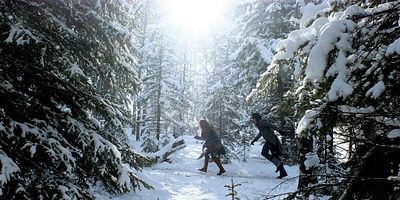 Cartel de Steel Bars and Stone Walls