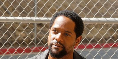 Cartel de Sleeping Dogs